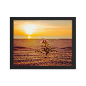 Framed print, Playa del Rey Beach, Los Angeles, California | Fine Art Landscape Photography for Home, Office | Wall Decor