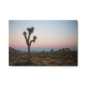 Metal print, Joshua Tree National Park, California | Sunrise | Fine Art Landscape Photography for Home, Office | Wall Decor
