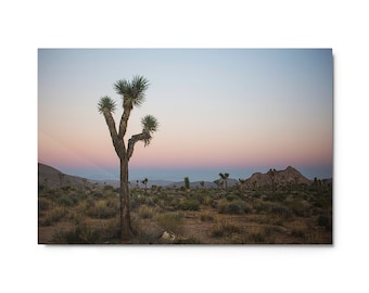 Metal print, Joshua Tree National Park, California | Sunrise | Fine Art Landscape Photography for Home, Office | Wall Decor