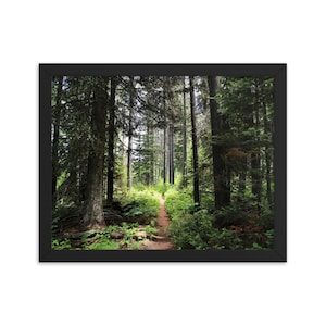 Gerahmter Druck, Grand Teton National Park, Wyoming, Taggart Lake Loop Hike | Fine Art Landschaftsfotografie für Zuhause, Büro | Wanddeko