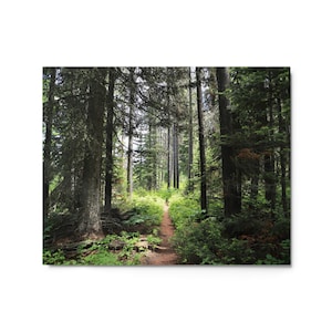 Metal print,  Grand Teton National Park, Wyoming, Taggart Lake Loop Hike | Fine Art Landscape Photography for Home, Office | Wall Decor