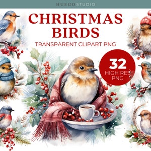 Weihnachten Winter Vogel Clipart Papier Handwerk Frohe Weihnachten Red Cardinal Sublimation Design Weihnachten Robin Aquarell Wald Clipart PNG