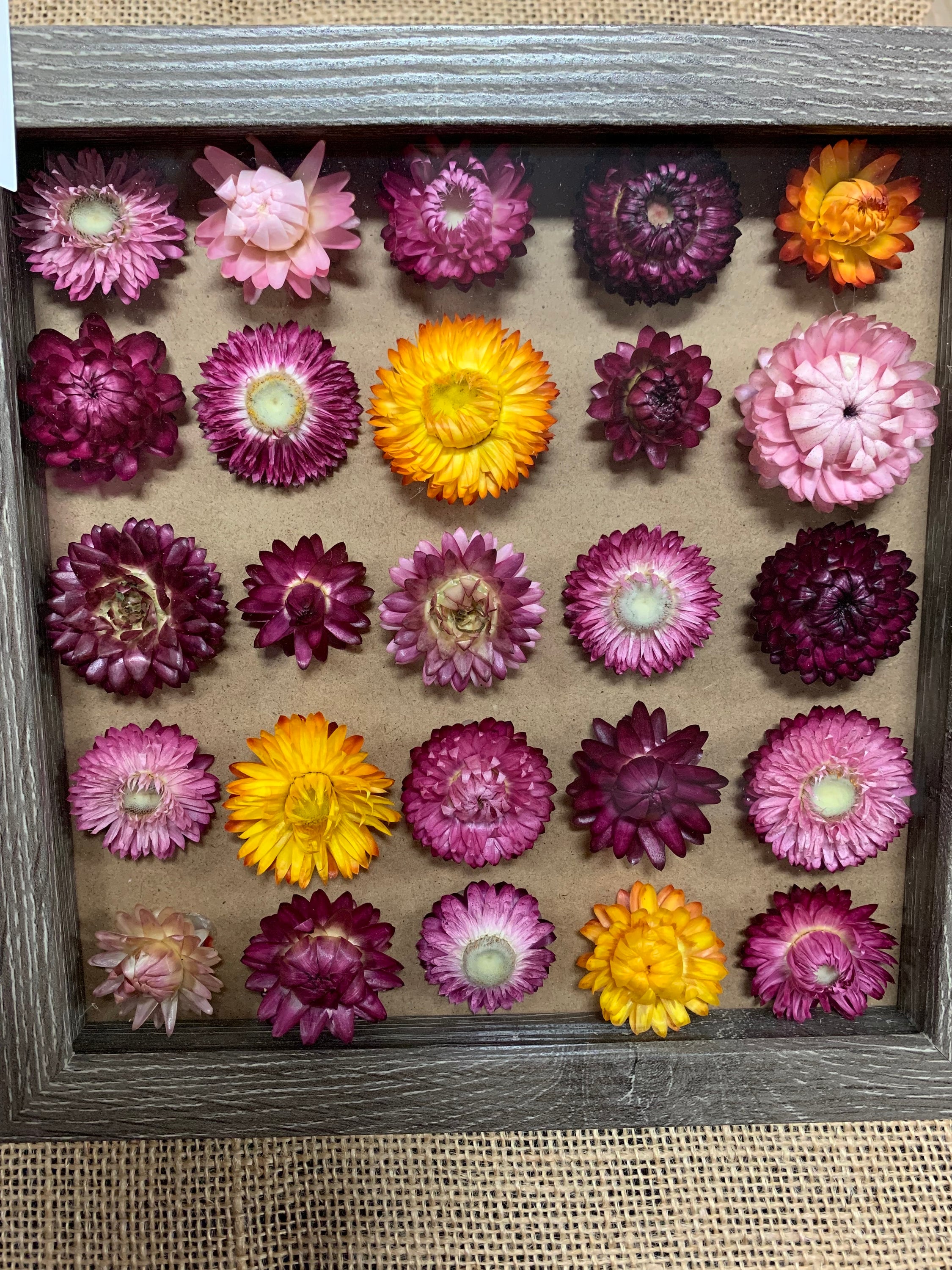 Shadow Box Dried Roses Dried Flower Shadow Box - Etsy