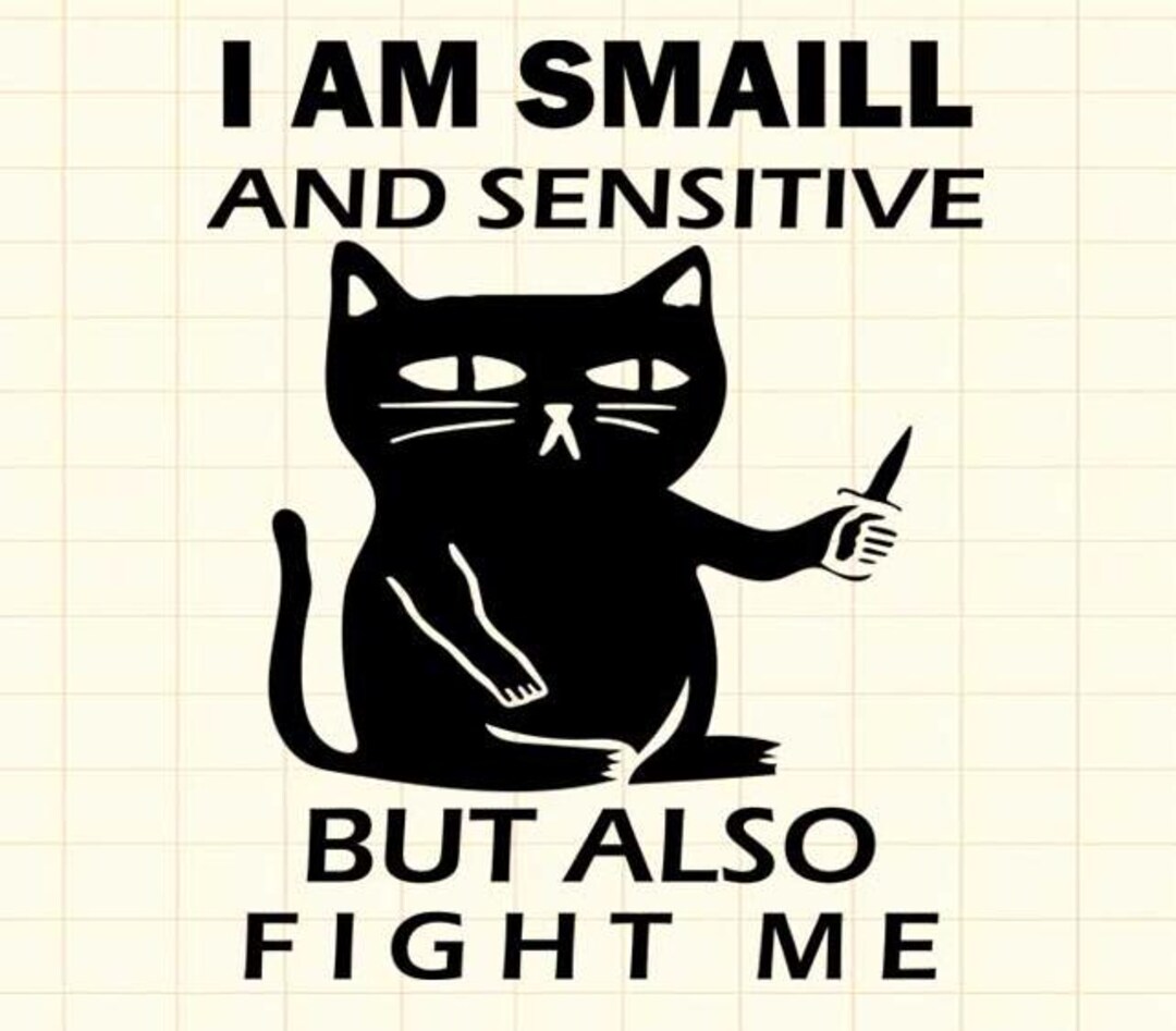Spilla Gatto Divertente Con Frase "I Am Small And Sensitive But Also Fight Me, I Do What I Want", Smalto, Accessorio Ironico