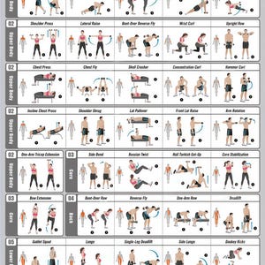 Könnte beinhalten: Ein Trainingsplan mit dem Titel "Dumbbell Workout Vol. 1" mit verschiedenen Übungen. Die Tabelle zeigt Illustrationen von Übungen, die auf den gesamten Körper, den Oberkörper, den Rumpf und die Muskelgruppen des Unterkörpers abzielen.