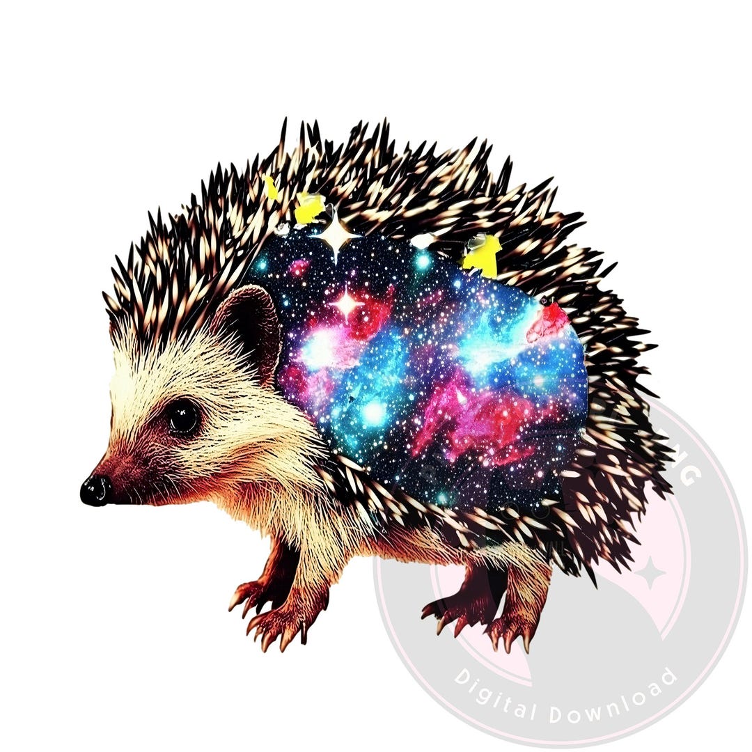 Galaxy Hedgehog Clipart, Cosmic Animal PNG, Fantasy Space Wildlife PNG ...