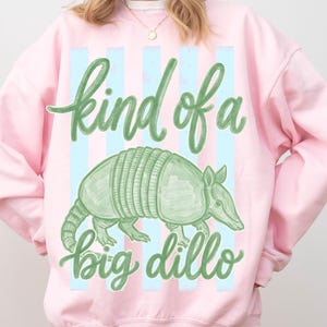 May include: Pink sweatshirt with a green armadillo illustration and the text "kind of a big dillo." The design features light blue vertical stripes. The sweatshirt is a casual, comfortable style.