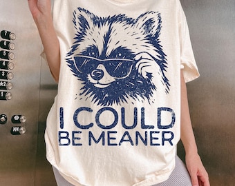 Funny Sarcastic PNG Funny Raccoon PNG I Could Be Meaner PNG Animal Sublimation Retro Raccoon Wearing Sunglasses