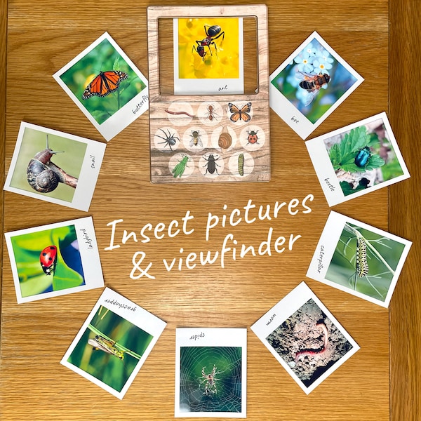 PRINTABLE, DIY, Download. Insects/ Mini Beasts, Nature Spotting, Polaroid Style, View Finder/ Identifier/ Viewer / Focus Frame.