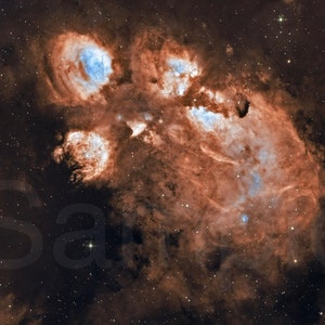 The Cat’s Paw Nebula