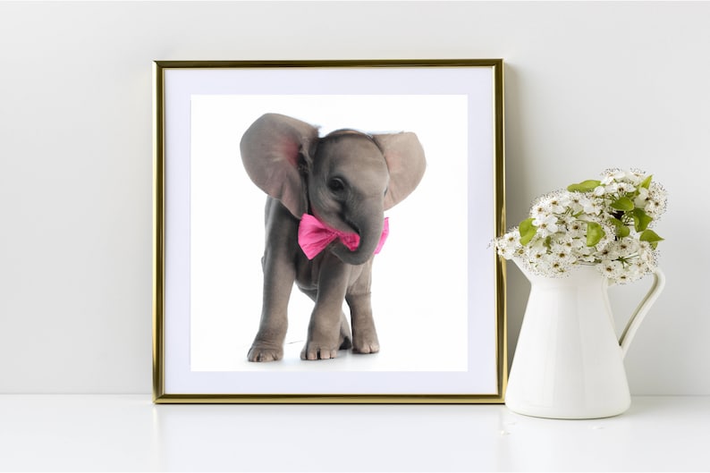Adorable Baby Elephant Printable Wall Art, Big Pink Bowtie, Safari ...