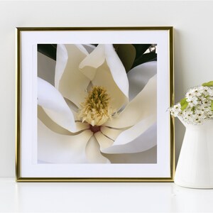 Magnolia Printable Art, Flower Art, Wall Art, Printable Art, Digital Download, Instant Download
