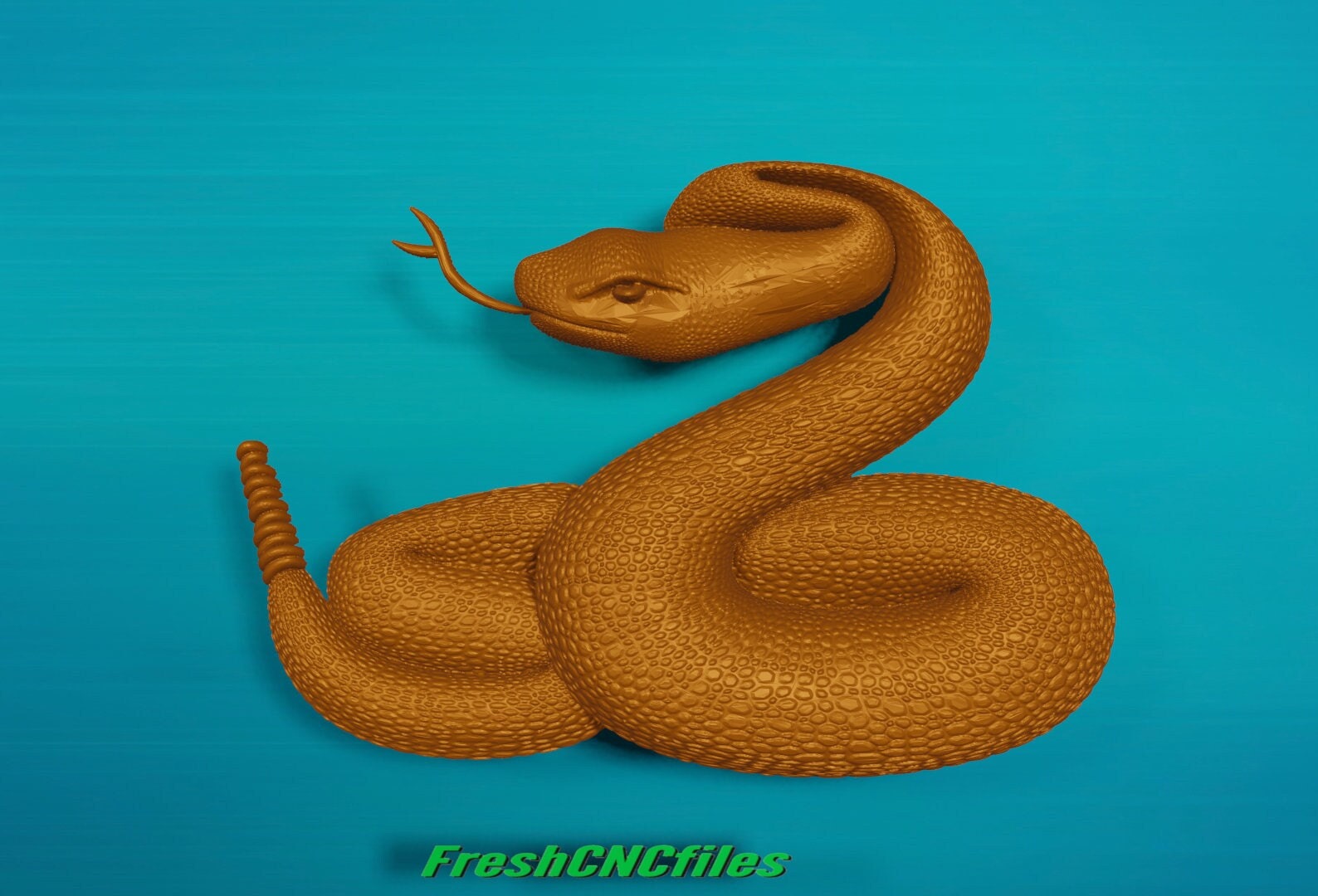 Rattlesnake rattles - Etsy 日本