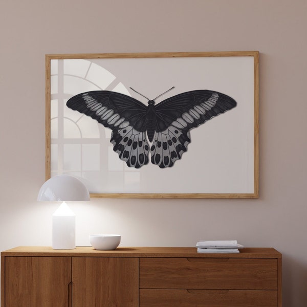 Vintage Butterfly Etsy vintage-butterfly-etsy