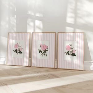 May include: Three rectangular wall art prints in light wood frames. Each print features a central botanical illustration of a pink rose with green leaves on a white background, surrounded by a vertical light pink and white striped border.