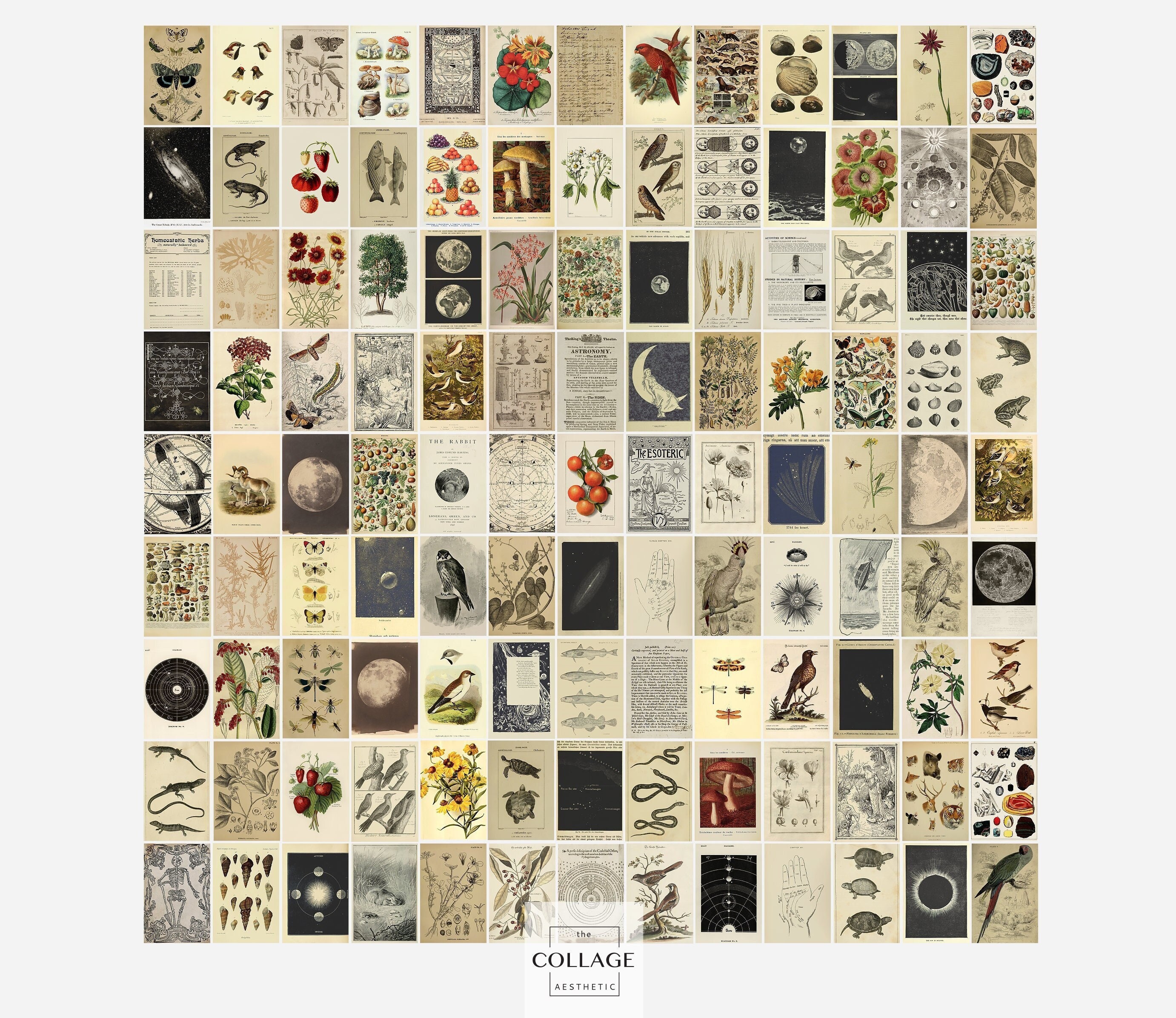 Vintage Wall Collage Kit Vintage Aesthetic Collage Wall Etsy Australia