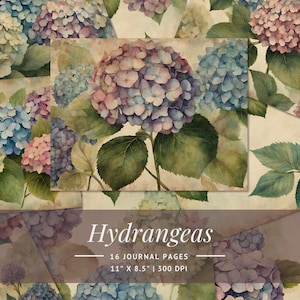 May include: A digital paper pack featuring 16 watercolor illustrations of hydrangeas in shades of blue, pink, and purple. The illustrations are arranged in a collage style on a vintage background. The text "Hydrangeas" is displayed in a decorative font with the words "16 Journal Pages", "11" x 8.5", and "300 DPI" below.