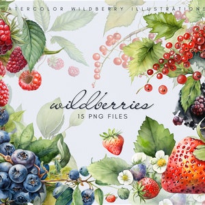 Paquete de imágenes prediseñadas de bayas silvestres de acuarela: ilustraciones botánicas, arte de bayas, gráficos de frutas, diseño de la naturaleza, descarga digital, elementos florales