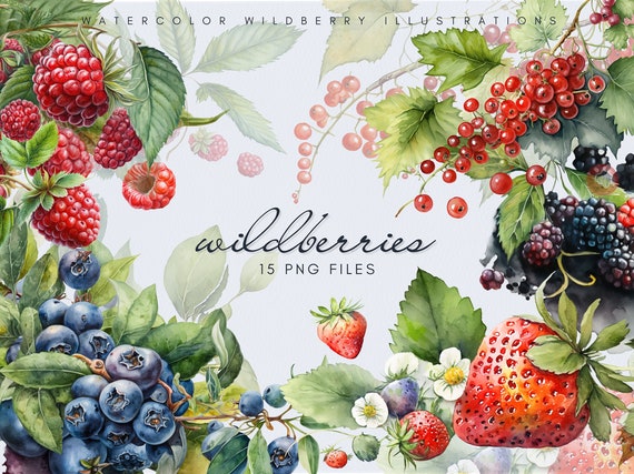 Watercolor Wildberries Clipart Bundle - Botanical Illustrations, Berry Art, Fruit Graphics, Nature Design, Digital Download, Floral Elements