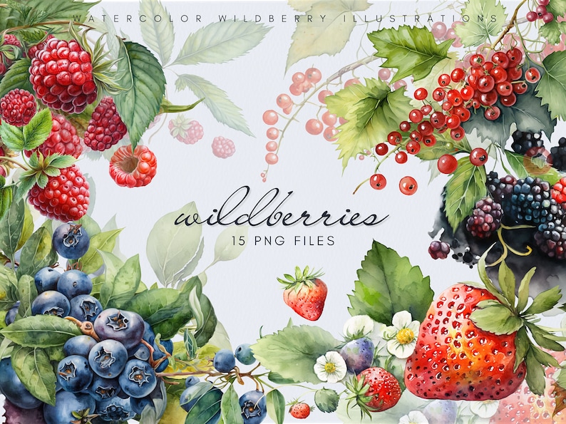 Op de afbeelding: Waterverf illustraties van verschillende wilde bessen, waaronder bosbessen, bramen, frambozen, aardbeien en rode bessen. De illustraties zijn geplaatst tegen een lichtblauwe achtergrond en tonen groene bladeren. De tekst "wildberries 15 PNG FILES" is opgenomen in de afbeelding.