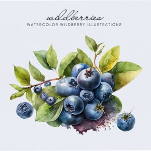 Op de afbeelding: Waterverfillustratie van een tros blauwe bessen met groene bladeren. De blauwe bessen zijn diepblauw en hebben een licht getextureerd oppervlak. De bladeren zijn heldergroen en hebben een glad oppervlak. De illustratie is op een witte achtergrond.