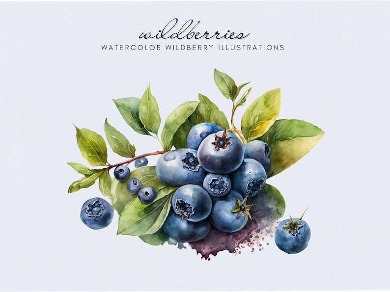 Op de afbeelding: Waterverfillustratie van een tros blauwe bessen met groene bladeren. De blauwe bessen zijn diepblauw en hebben een licht getextureerd oppervlak. De bladeren zijn heldergroen en hebben een glad oppervlak. De illustratie is op een witte achtergrond.