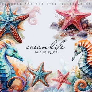 Ocean Life Clipart Bundle - Zeepaardjes en Zeesterren Illustraties - Instant Download - PNG - Zomer Clipart