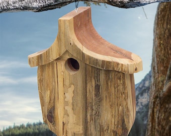 Rustic Handmade Bird House with Finish