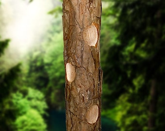Cedar Suet Log Feeder by Prime Retreat