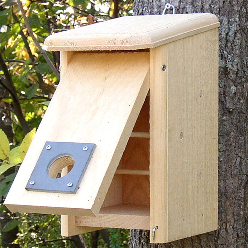 Coveside Convertible Bird House/winter Roost - Etsy