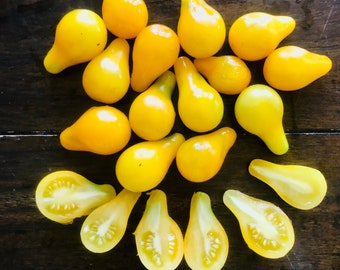 Yellow Pear -Non GMO- Heirloom Tomato Seeds (10+ Seeds)