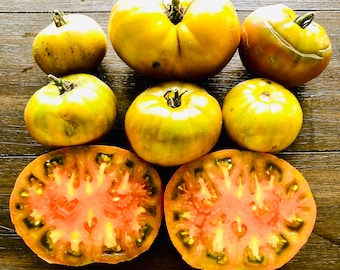 Thorburns Terra Cotta -Non GMO- Heirloom Tomato Seeds (10+ Seeds)