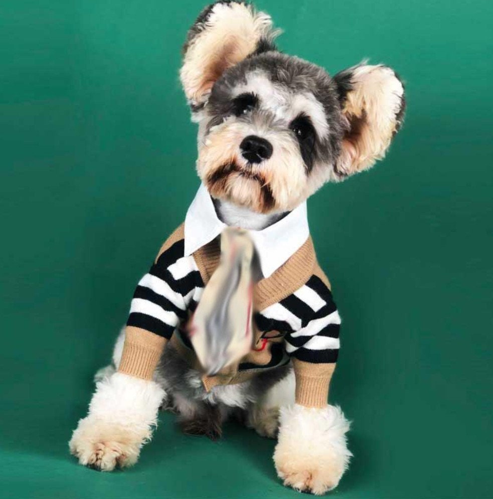 Luis Pawtton Multicolors Luxury Dog Hoodie Fancy Dog Hoodie 