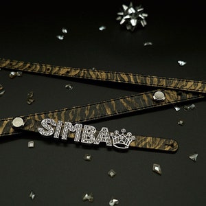 Wild Tiger Personalized Leather Dog Collar/Cat Collar and Leash,Customized Name,Bling Charm,Wild Style,Bling Luxury Pet collar, Gift for Pet
