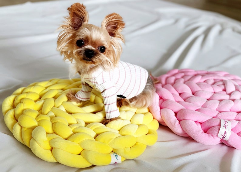 Tapis pour animaux de compagnie en tricot de fil épais en velours, lit rond en coton doux tricoté pour chat, couverture pour chien ronde épaisse tricotée au bras, cadeau d'anniversaire fait à la main pour chien ou chat image 1