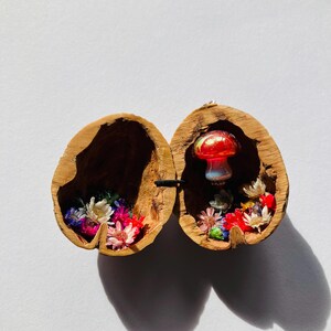 May include: A walnut shell diorama with a small red mushroom and vibrant dried flowers. The shell is split open, displaying the miniature scene. The diorama is set against a white backdrop.