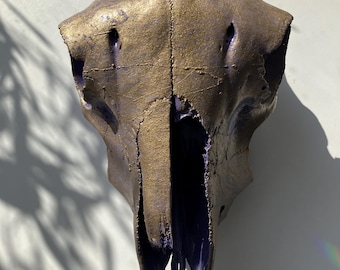 Real painted Sheep skull
