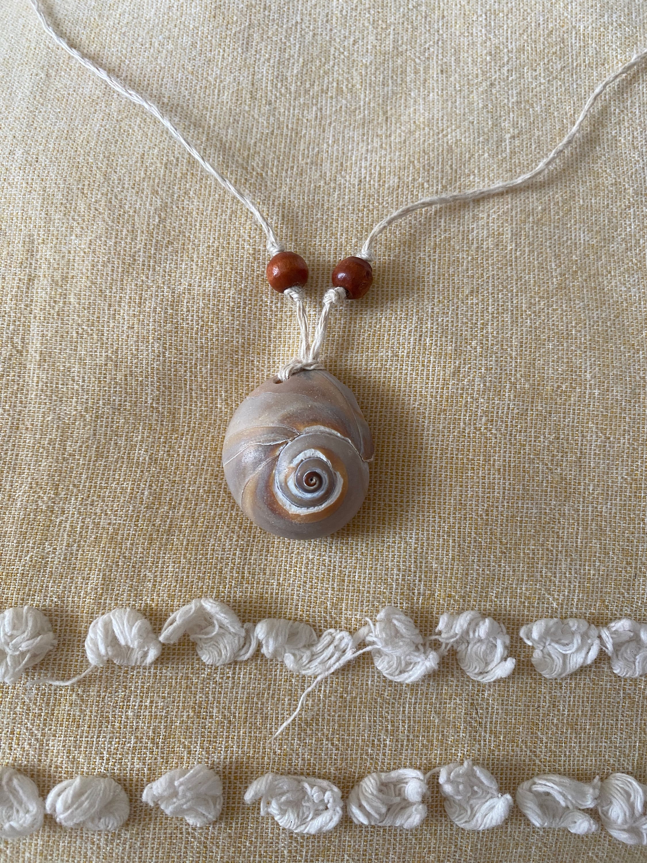 Moon Snail Shell Necklace Moon Snail Shell Necklace India