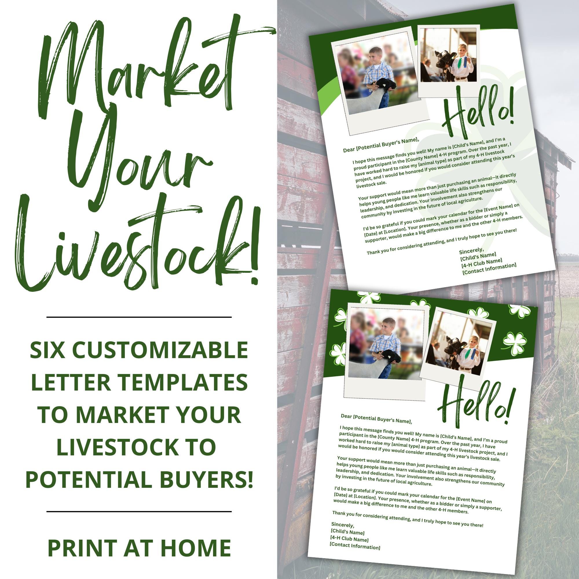 Market Your Livestock! - Six Customizable Letter Templates for Potential Buyers - Canva Template