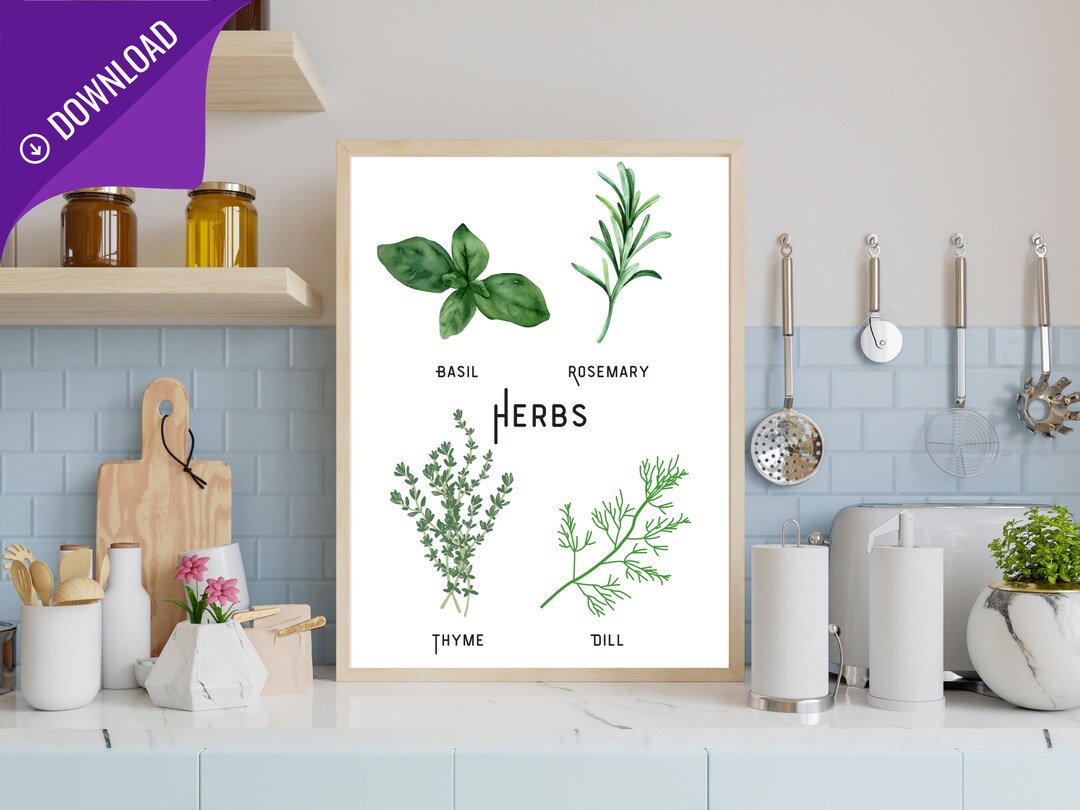 Herb Prints Bundle | Kitchen Wall Art | Set of 5 | Printable Wall Art ...
