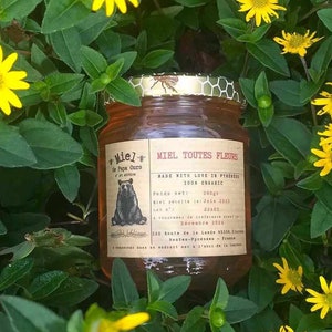 Artisanal Honey from the Pyrenees (500G jar)