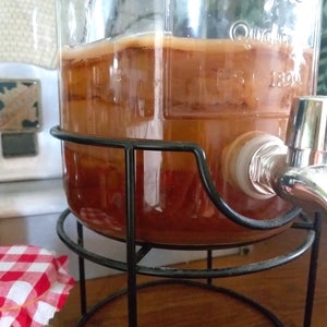 Scoby 10-20 gr diamètre 5-7 cm / mère de kombucha frais / fraiche image 3