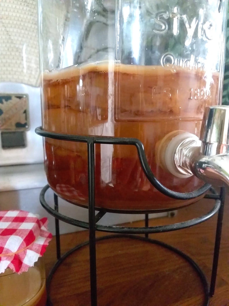 Scoby 10-20 gr diametro 5-7 cm/kombucha madre fresco/fresco immagine 3