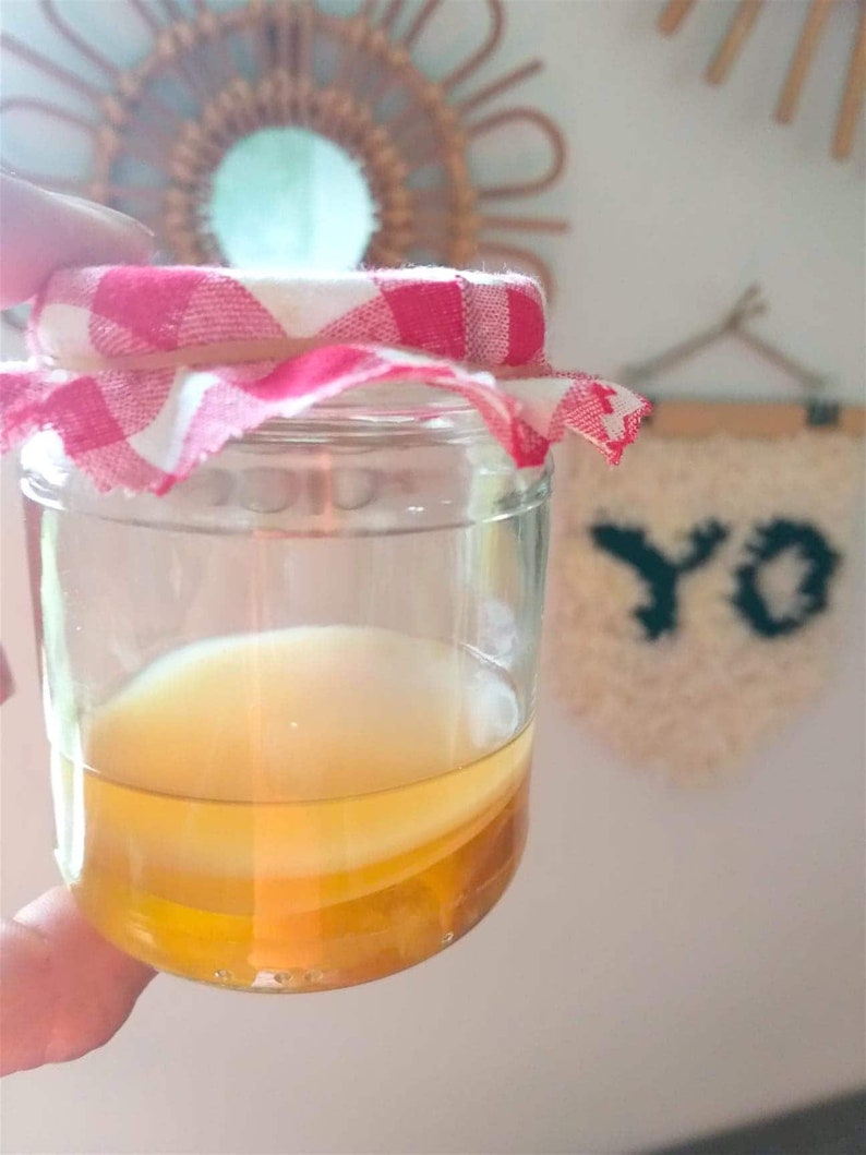 Scoby 10-20 gr diameter 5-7 cm / fresh kombucha mother / fresh image 2