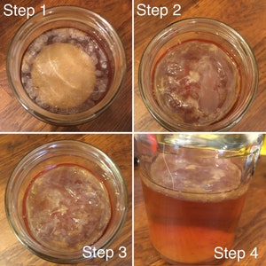 Scoby 10-20 gr diametro 5-7 cm/kombucha madre fresco/fresco immagine 6