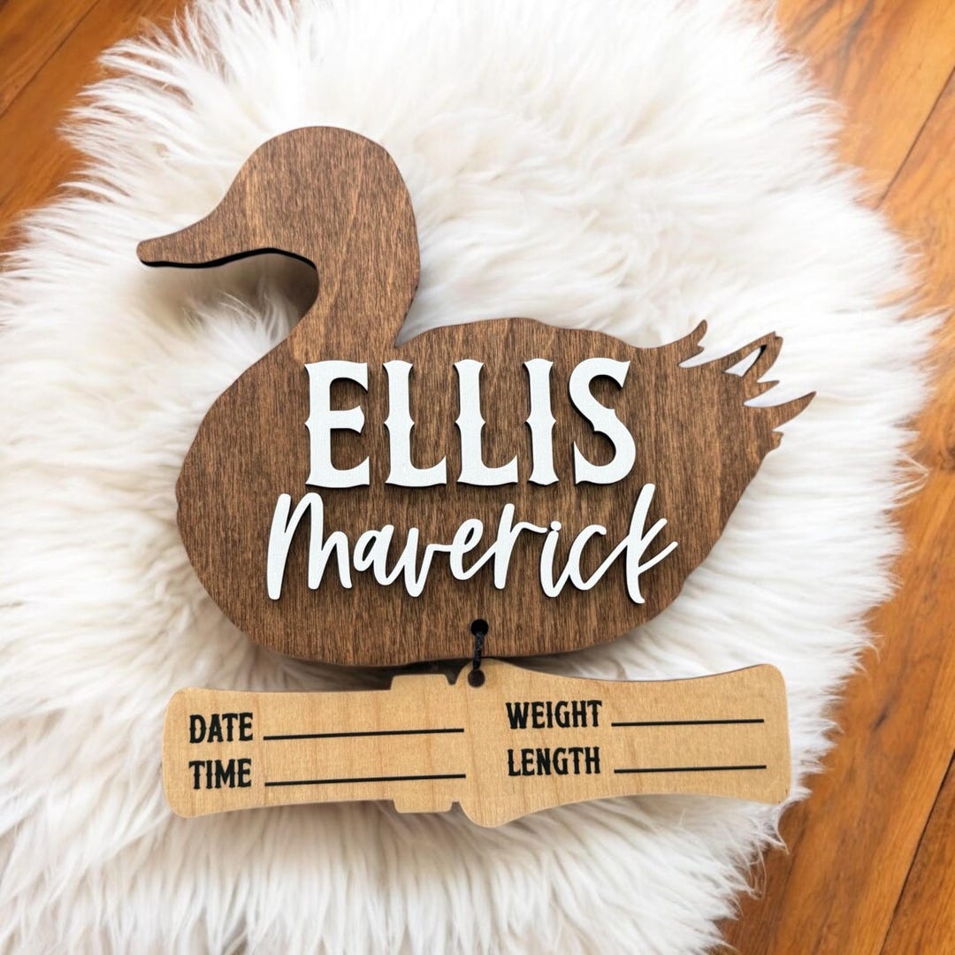 Birth Stats Sign, Baby Name Announcement Sign With Birth Stats, Newborn ...