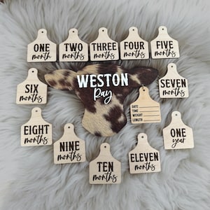 Cow tag birth stats sign, cow tag milestones, Baby name announcement sign, hospital sign, wooden name sign, baby birth stats and milestones