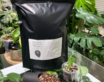 May include: A black bag of Alocasia Soil Free Mixture potting mix with a scoop of the soil mix in a black plastic pot. The bag has a white label with the product name and instructions for use.