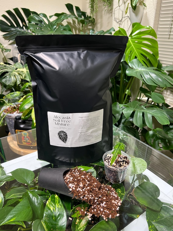 Aroid Soil Free Seedling Mixture - Good for Alocasia, Anthurium,  Propagations, Seeds, Corms, & More - Etsy