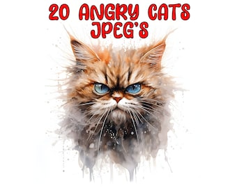 Aquarelle Angry Cat Clipart, 20 JPG de haute qualité, téléchargement numérique instantané - fabrication de cartes, artisanat en papier numérique - Grumpy Cat Clipart